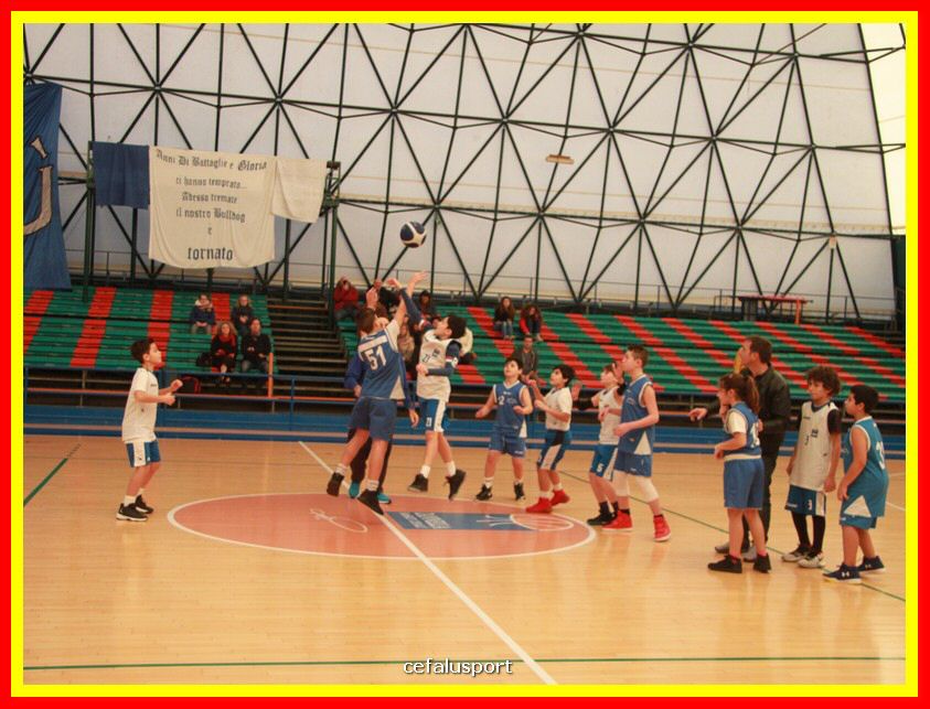 190209 basket 019_tn.jpg